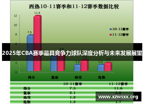 2025年CBA赛季最具竞争力球队深度分析与未来发展展望