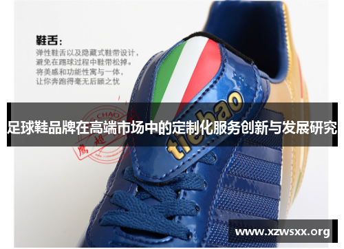足球鞋品牌在高端市场中的定制化服务创新与发展研究