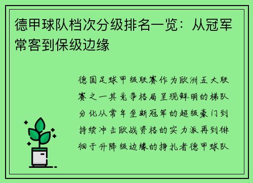 德甲球队档次分级排名一览：从冠军常客到保级边缘