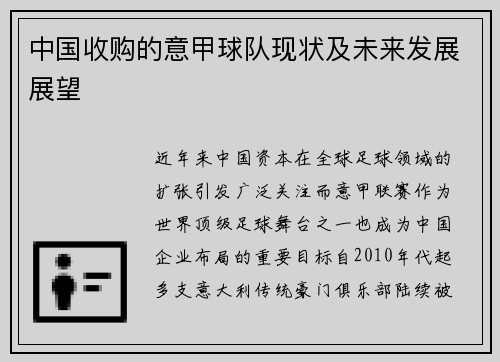 中国收购的意甲球队现状及未来发展展望